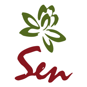 SEN Logo